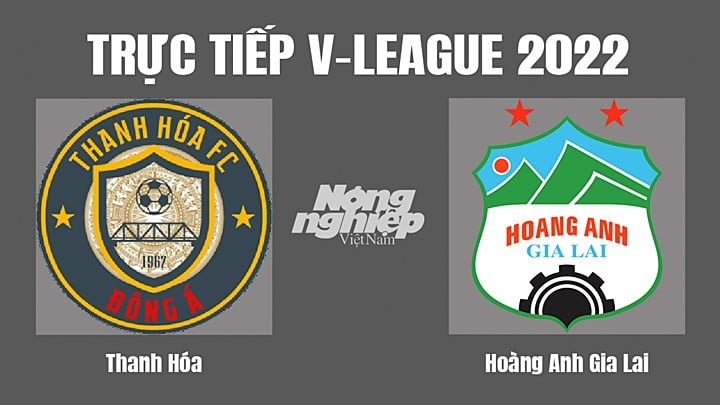 Trực tiếp bóng đá V-League (VĐQG Việt Nam) 2022 giữa Thanh Hóa vs HAGL hôm nay 13/11/2022