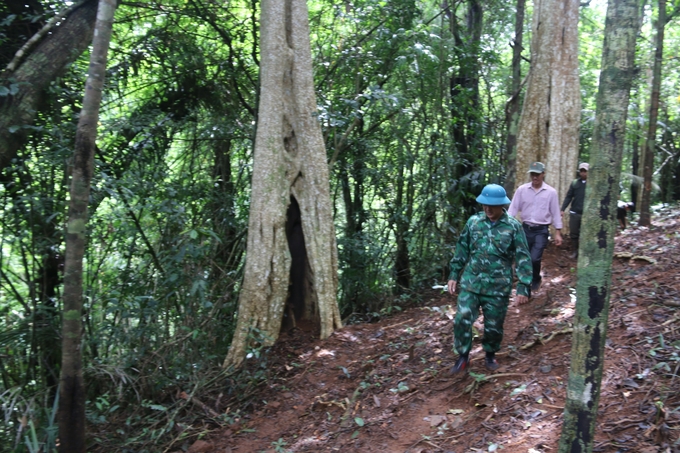 Việc tuần tra bảo vệ rừng luôn có sự phối hợp với các lực lượng chức năng khác. Ảnh: M.P.