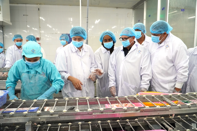The Cuban National Assembly and State Council delegation learned about pangasius processing activities at Southern Seafood Industry Co., Ltd., Can Tho City. Photo: Kim Anh.