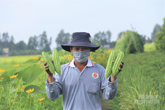 Informaton dissemination must start with leading kernels, models and cooperatives. Photo: Pham Hieu.