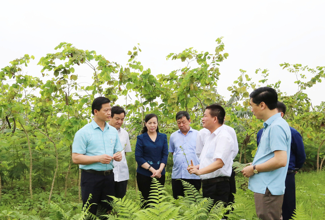 Phó Chủ tịch Thường trực UBND tỉnh Bắc Ninh Vương Quốc Tuấn thăm HTX Lê Văn Thịnh, thôn Du Tràng, xã Giang Sơn, huyện Gia Bình.