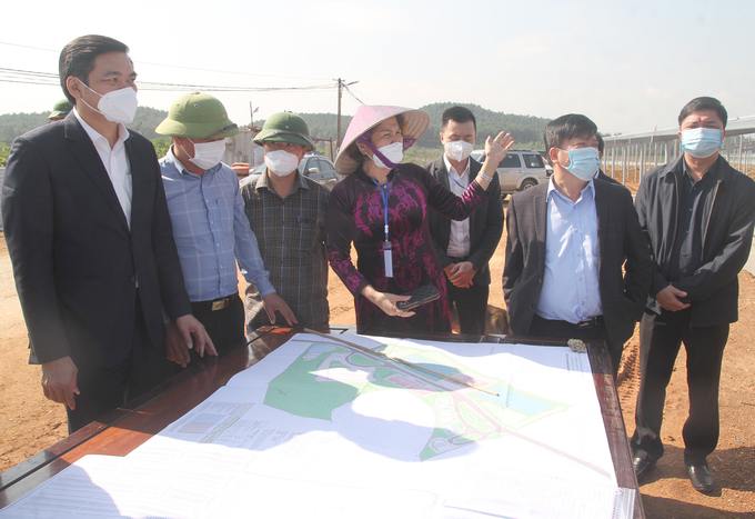 Representatives of the investor and related parties check the general situation at the hi-tech applied forestry zone in the North Central region.