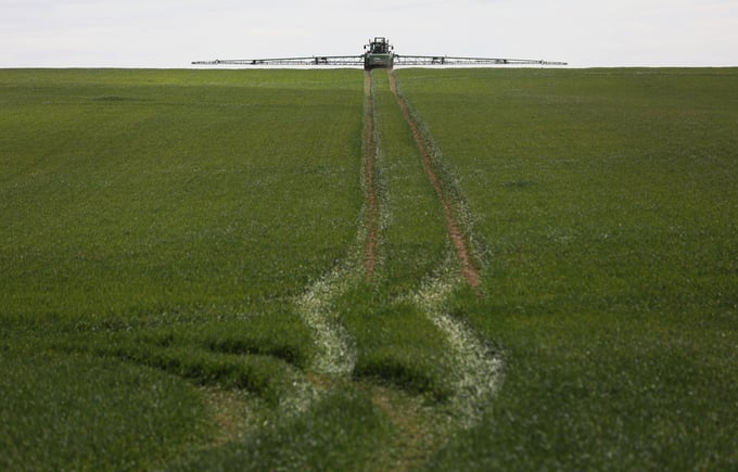 Một chiếc máy kéo đang rải phân bón trên cánh đồng lúa mì ở Buntingford, Vương quốc Anh. Ảnh: Chris Ratcliffe/Bloomberg