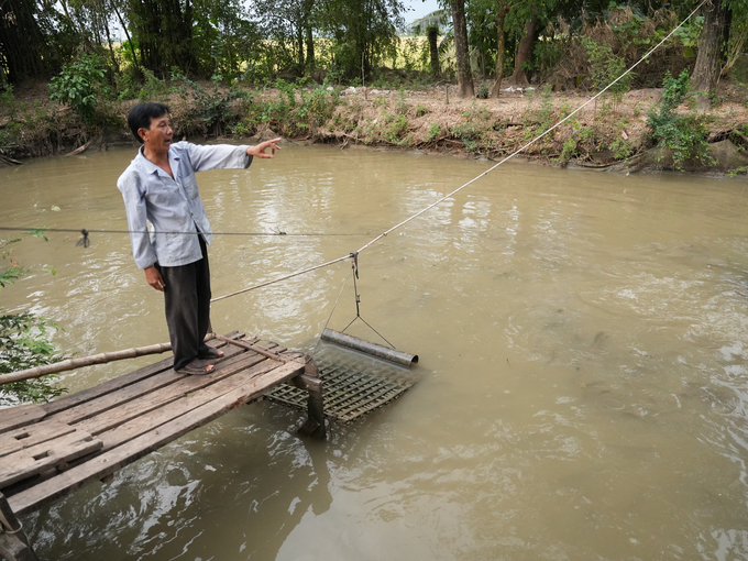 Đây là ao cá lóc bông 6 tháng tuổi của ông Hiền, bắt đâu lớn và ít phá hơn. Ảnh: Thanh Sơn.