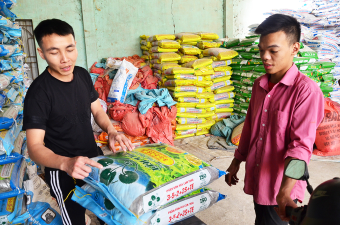 Phạm Như Đông - Giám đốc Công ty Phương Đông (áo đen, bên trái) - đang hướng dẫn cách sử dụng phân bón Lâm Thao. Ảnh: Dương Đình Tường.