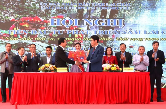 Lai Chau Provincial People's Committee signing a memorandum of understanding with Lai Chau ginseng investment and development units. Photo: CH.