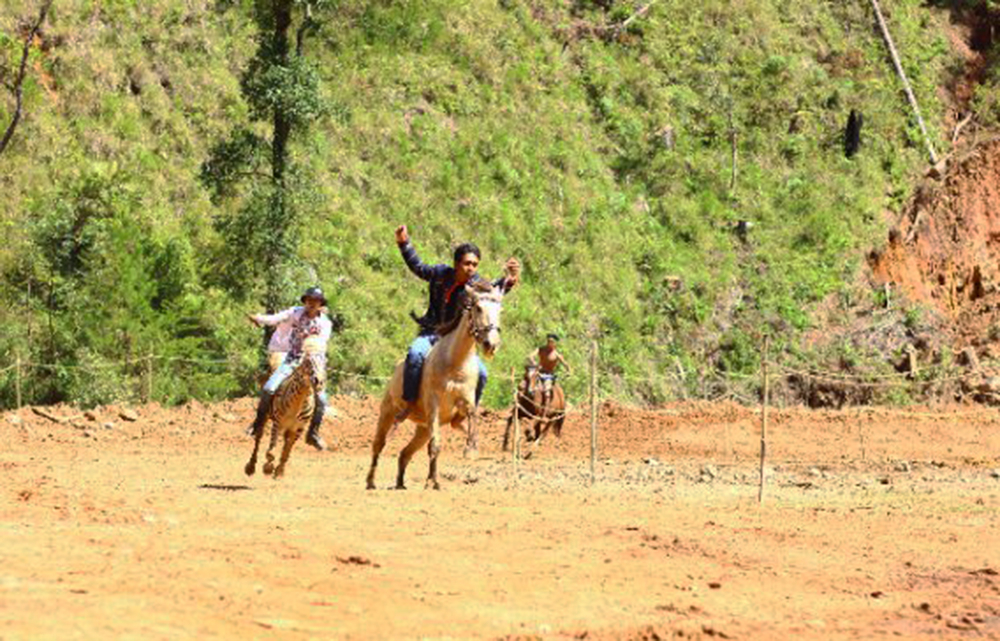 Lễ hội đua ngựa không yên và liên hoan ẩm thực sẽ được tổ chức vào ngày 26 – 27/11 tại dự án Khu du lịch sinh thái, Văn hóa SXHQ (xã Đạ Nhim, huyện Lạc Dương).