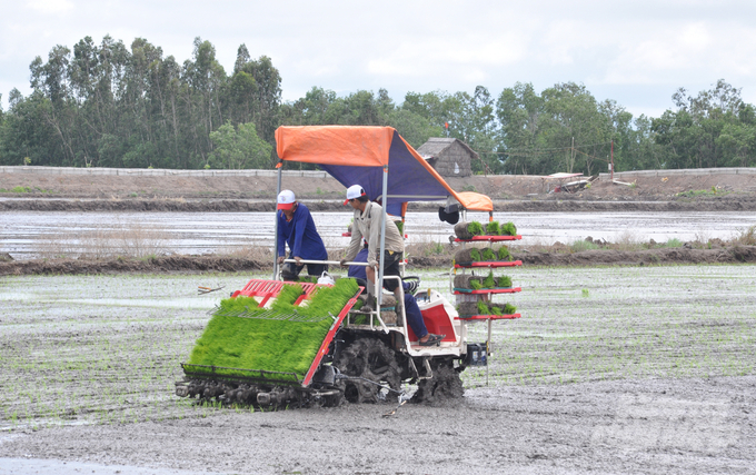 Nông dân ở một số tỉnh ĐBSCL ứng dụng mạ khay, máy cấy lúa trên đồng ruộng. Ảnh: Hữu Đức.