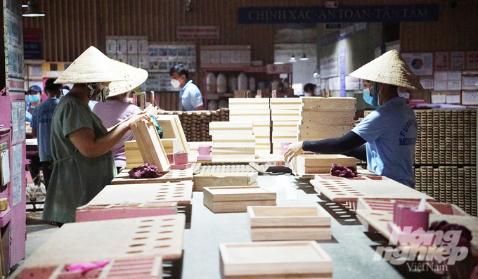 Các doanh nghiệp gỗ Việt Nam đang có nhiều cơ hội tại thị trường EU. Ảnh: Nguyễn Thủy.