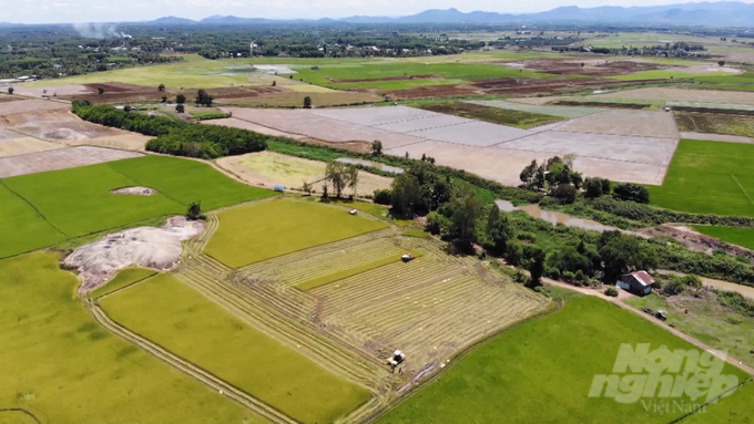 Đồng Nai có trên 287.000 ha đất sản xuất nông nghiệp. Ảnh: Trần Trung.