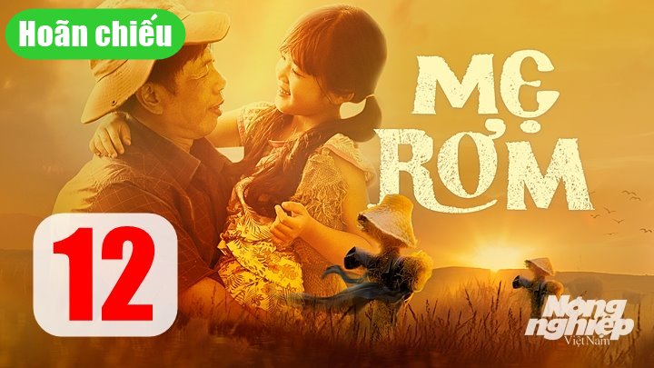 Mẹ rơm tập 12 sẽ hoãn chiếu để nhường sóng cho chương trình 'Khát vọng Việt Nam'