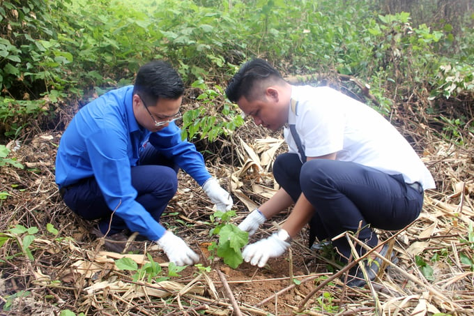 Bí thư Đoàn Thanh niên Bộ NN-PTNT Tạ Hồng Sơn cùng đại diện Đoàn Thanh niên Vietnam Airlines tham gia trồng cây xanh. Ảnh: CĐ.