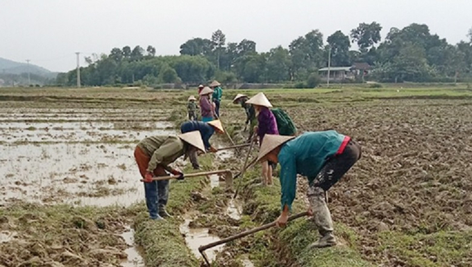 Bà con nông dân tranh thủ nạo vét các tuyến kênh mương bằng đất, khơi thông dòng chảy. Ảnh: Thanh Nga.