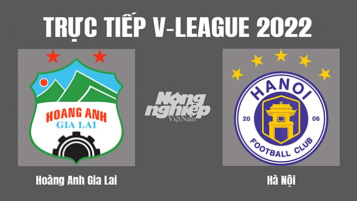 Trực tiếp bóng đá V-League (VĐQG Việt Nam) 2022 giữa HAGL vs Hà Nội hôm nay 19/11/2022
