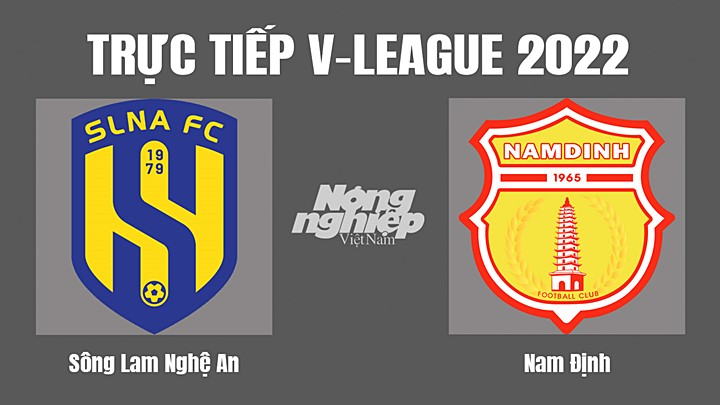 Trực tiếp bóng đá V-League 2022 giữa SLNA vs Nam Định hôm nay 19/11/2022