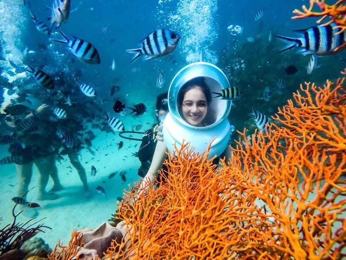 Up to now, Vietnam has established and put into operation a network of 10 out of 16 marine protected areas and national parks with marine conservation components.