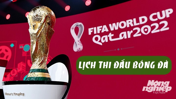 Chi tiết lịch thi đấu bóng đá World Cup 2022 siễn ra tại Qatar
