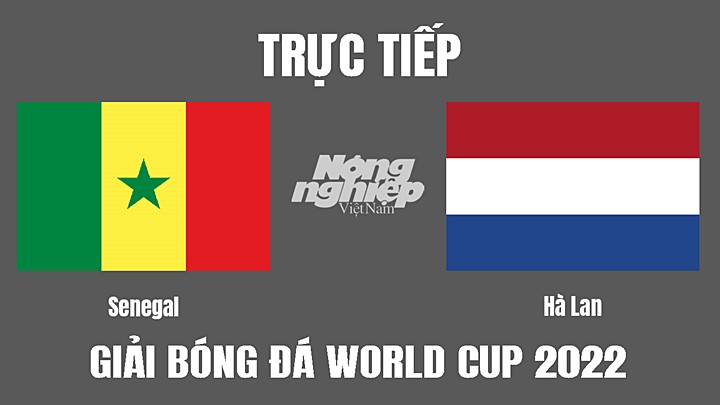 Trực tiếp bóng đá World Cup 2022 giữa Senegal vs Hà Lan hôm nay 21/11/2022