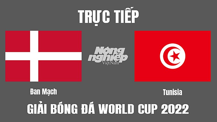 Trực tiếp bóng đá World Cup 2022 giữa Đan Mạch vs Tunisia hôm nay 22/11/2022