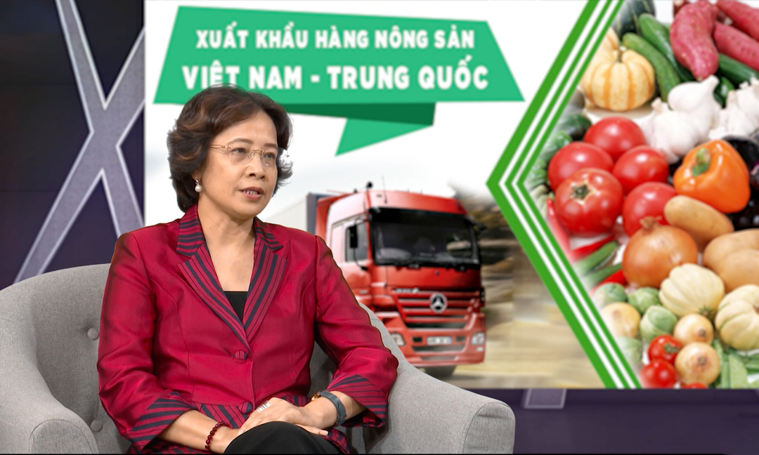 Bà Nguyễn Thị Lan Hương, Chủ tịch HĐQT Công ty Việt Phúc chia sẻ về Lệnh 248, 249.
