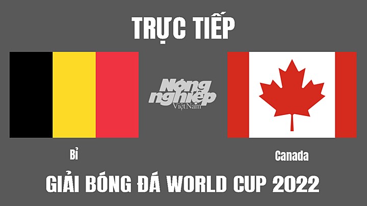 Trực tiếp bóng đá World Cup 2022 giữa Bỉ vs Canada ngày mai 24/11/2022