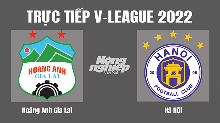 Trực tiếp bóng đá V-League 2022 giữa HAGL vs Hà Nội hôm nay 23/11/2022