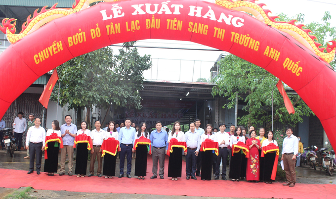 Lô hàng bưởi đỏ Tân Lạc xuất khẩu có số lượng gần 7 tấn do các thành viên của 3 HTX sản xuất bưởi đỏ trên địa bàn huyện Tân Lạc cung cấp; Công ty Cổ phần Nông nghiệp hữu cơ Fusa (Hải Dương) là đơn vị bao tiêu, vận chuyển.