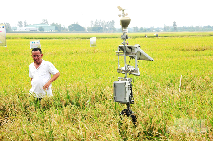 Máy ứng dụng công nghệ IOT và Viễn thám trong quản lý sản xuất và dịch hại trên cây lúa tại huyện Vĩnh Thạnh (TP Cần Thơ). Ảnh: Lê Hoàng Vũ.