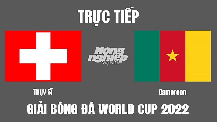 Trực tiếp bóng đá World Cup 2022 giữa Thụy Sĩ vs Cameroon hôm nay 24/11/2022