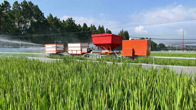 Fields dedicated to the sustainable, combined cultivation model for rice and black-spotted frogs in Changxing county, Huzhou, Zhejiang province, are watered by a mechanized sprinkler irrigation system.