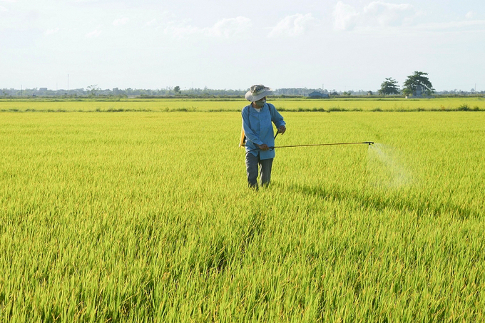 Nông dân trồng lúa, trái cây đánh giá cao vai trò của thuốc bảo vệ thực vật hơn nông dân trồng cây công nghiệp.