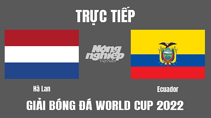 Trực tiếp bóng đá World Cup 2022 giữa Hà Lan vs Ecuador hôm nay 25/11/2022
