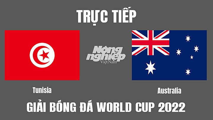 Trực tiếp bóng đá World Cup 2022 giữa Tunisia vs Úc hôm nay 26/11/2022