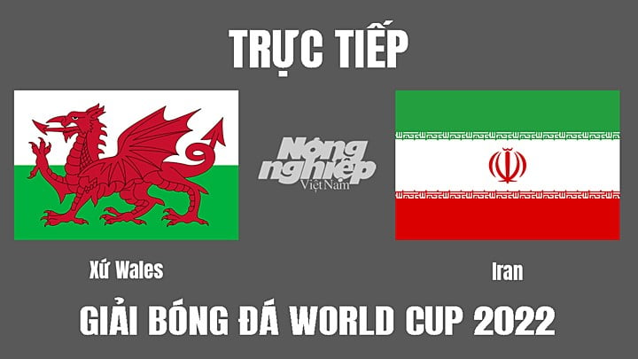 Trực tiếp bóng đá World Cup 2022 giữa Xứ Wales vs Iran hôm nay 25/11/2022