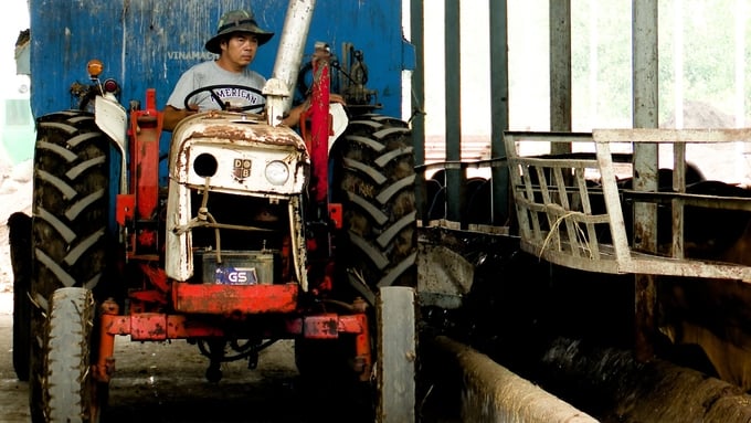 Cơ giới hóa cùng các trang thiết bị tiên tiến hiện đại được sử dụng nhiều trong các trang trại bò tập trung. Ảnh: Minh Sáng.