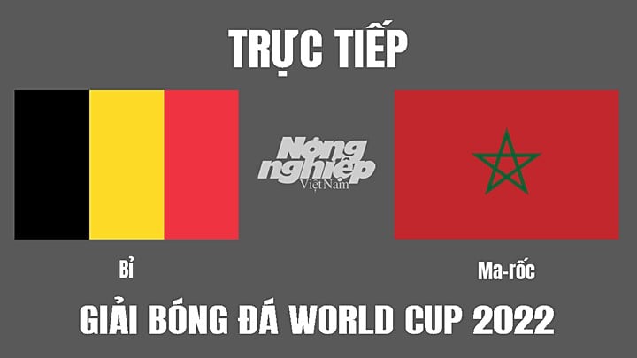 Trực tiếp bóng đá World Cup 2022 giữa Bỉ vs Morocco hôm nay 27/11/2022