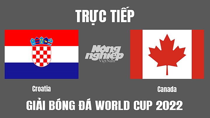 Trực tiếp bóng đá World Cup 2022 giữa Croatia vs Canada hôm nay 27/11/2022