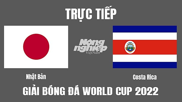 Trực tiếp bóng đá World Cup 2022 giữa Nhật Bản vs Costa Rica hôm nay 27/11/2022