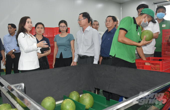 Đoàn công tác của Bộ NN-PTNT và UBND tỉnh Bến Tre khảo sát công tác chuẩn bị tại Công ty TNHH Xuất nhập khẩu Trái cây Chánh Thu. Ảnh: Minh Đảm.