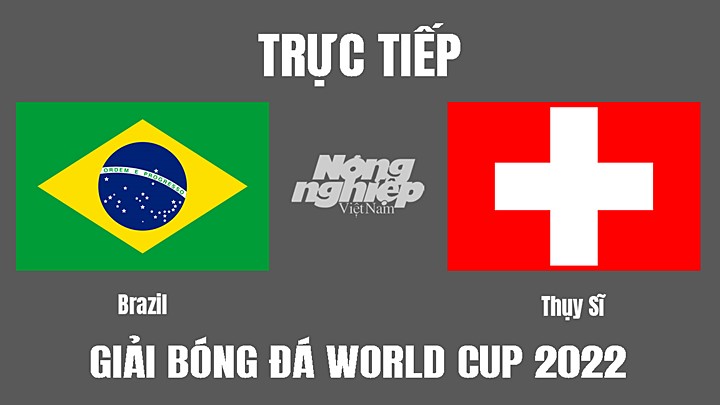 Trực tiếp bóng đá World Cup 2022 giữa Brazil vs Thụy Sĩ hôm nay 28/11/2022