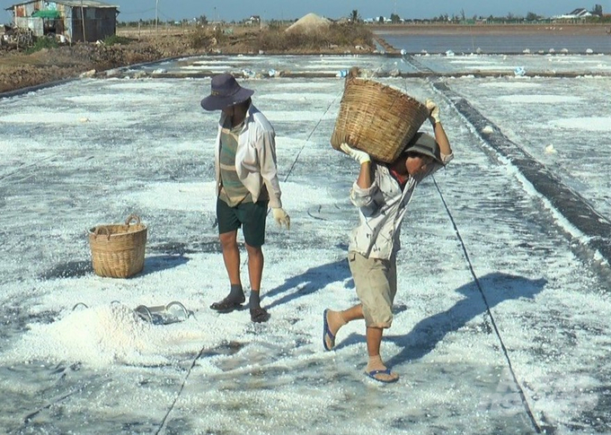 Nghề muối hiện nay diêm dân vẫn chủ yếu làm thủ công, dẫn đến chi phí cao, lại lệ thuộc nhiều vào thời tiết nên thu nhập thấp và bấp bênh. Ảnh: Trọng Linh.