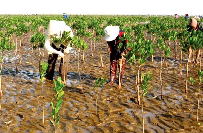 The Agricultural Weather Bulletin is a co-development process with key stakeholders in the climate service value chain from production, interpretation, dissemination to utilization.