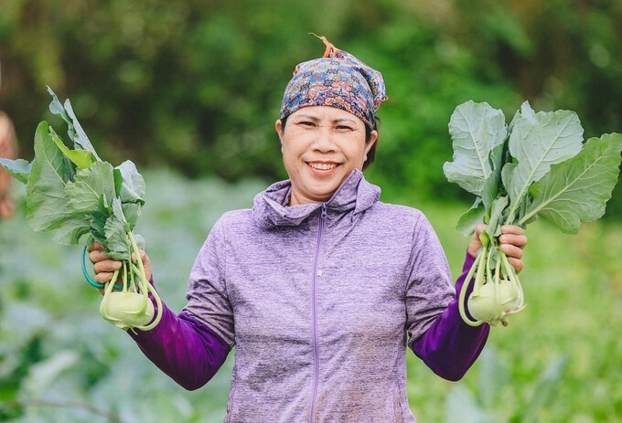 The EU is ready to promote cooperation and support Vietnam in the fields of climate change, green development, and energy transition. Photo: An Lang.