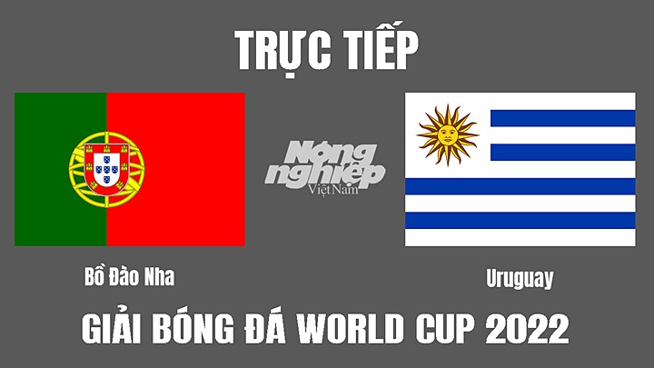 Trực tiếp bóng đá World Cup 2022 giữa Bồ Đào Nha vs Uruguay hôm nay 29/11/2022