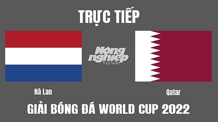 Trực tiếp bóng đá World Cup 2022 giữa Hà Lan vs Qatar hôm nay 29/11/2022