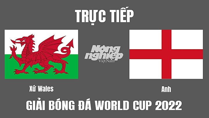 Trực tiếp bóng đá World Cup 2022 giữa Xứ Wales vs Anh ngày 30/11/2022