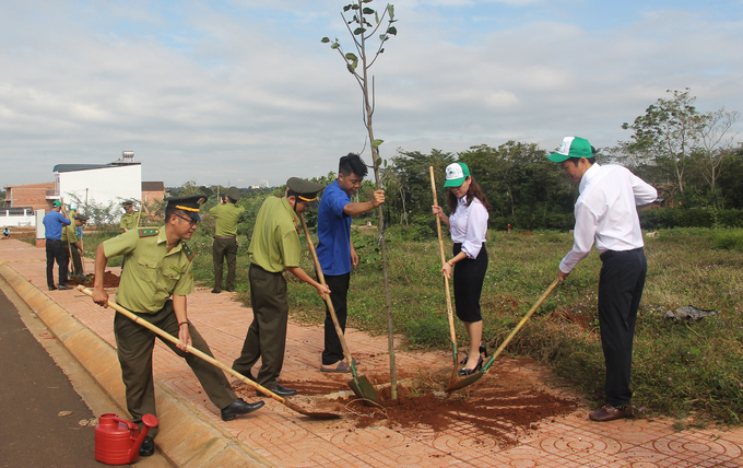 Hơn một trăm cây sao đen được trồng tại Khu tái định cư thôn 1, xã Hòa Thắng, TP Buôn Ma Thuột sau lễ phát động. Ảnh: Quang Yên.