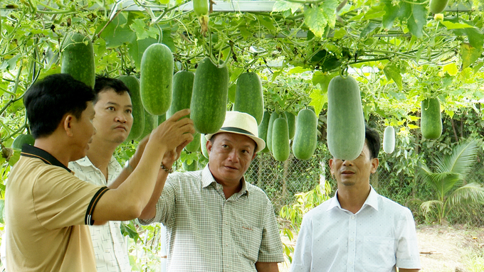 Hiện toàn tỉnh Đồng Nai có 181 chuỗi liên kết trong lĩnh vực trồng trọt, chăn nuôi, thủy sản và lâm nghiệp. Ảnh: Trần Trung.