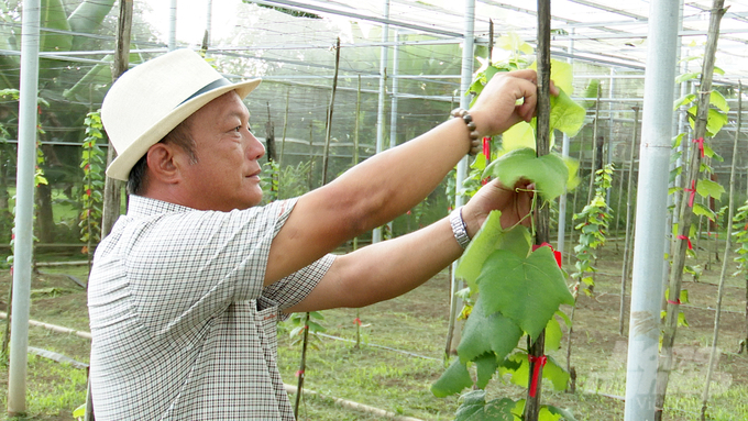 Đồng Nai đang có nhiều chính sách hỗ trợ cho các doanh nghiệp đầu tư vào nông nghiệp trên địa bàn phát triển. Ảnh: Trần Trung.