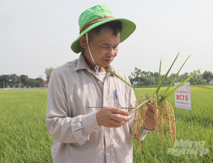 Nông dân trên địa bàn Nghệ An được hưởng lợi nhờ quá trình vận hành hợp lý, hiệu quả của Công ty TNHH MTV Thủy lợi Nam. Ảnh: Việt Khánh. 